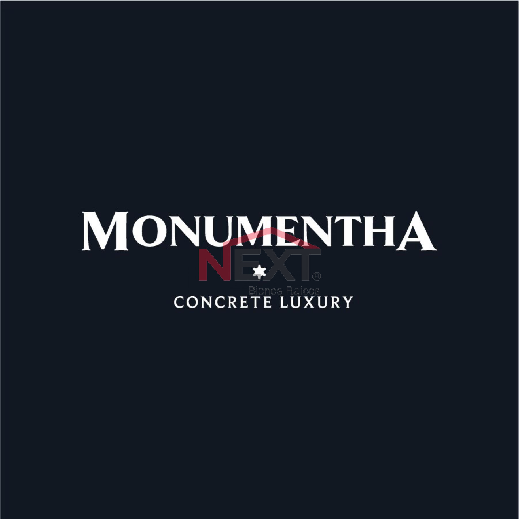 Proyecto Monumentha