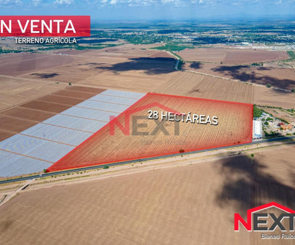 TERRENO AGRÍCOLA EN VENTA NAVOJOA SON.