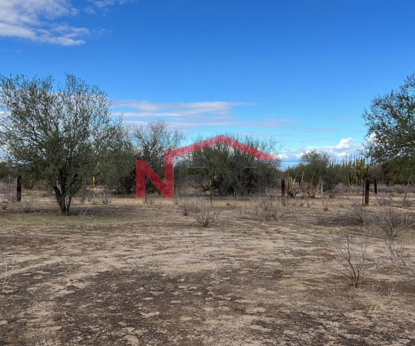 TERRENO CAMPESTRE EN VENTA EN SAN PEDRO EL SAUCITO