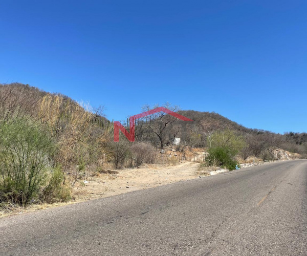 VENTA RANCHO "EL PORTEZUELO" ALAMOS, SON