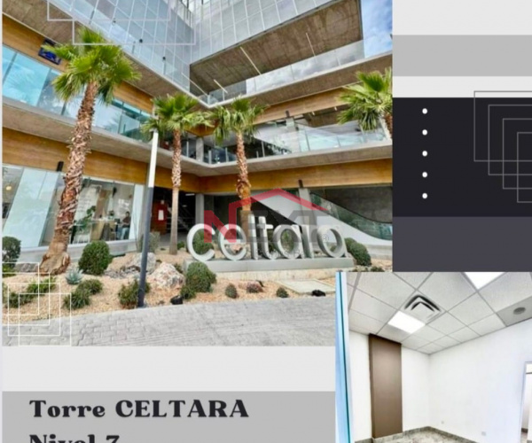 CONSULTORIO EN RENTA EN TORRE CELTARA