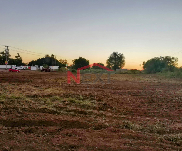 TERRENO EN RENTA UBICADO SOBRE CALLE PERIFERICO, PREDIO BAHUISES, NAVOJOA, SONORA.