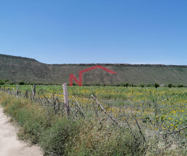 Se VENDE Rancho en General Cepeda