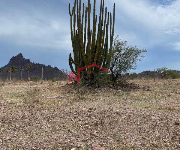 Venta de terreno campestre en Rio Azul Proyecto Nacapule