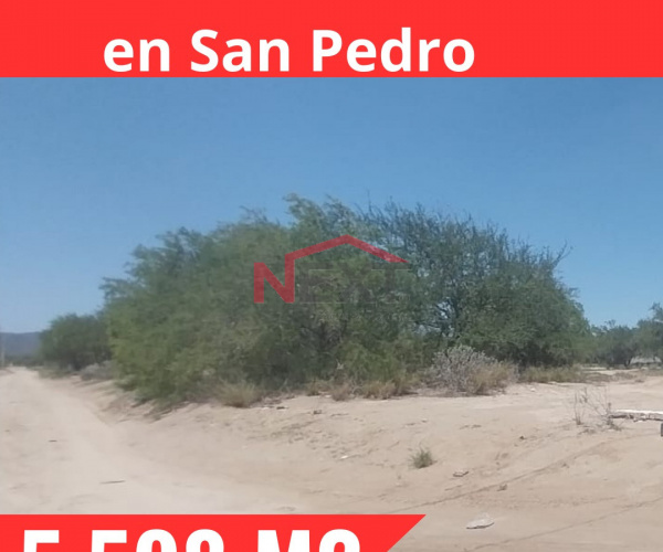 TERRENO EN VENTA SAN PEDRO