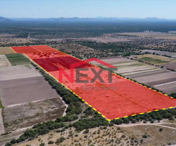 TERRENO (CAMPO DE SIEMBRA) EN VENTA EN ZAMORA SONORA