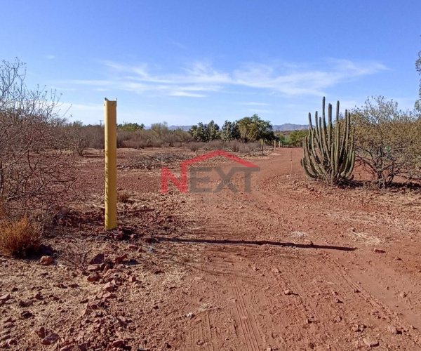 SE VENDE TERRENO EN GUAYMAS