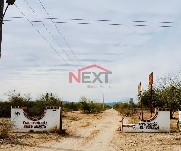 TERRENO EN VENTA EN CAMPESTRE REAL DEL ALAMITO