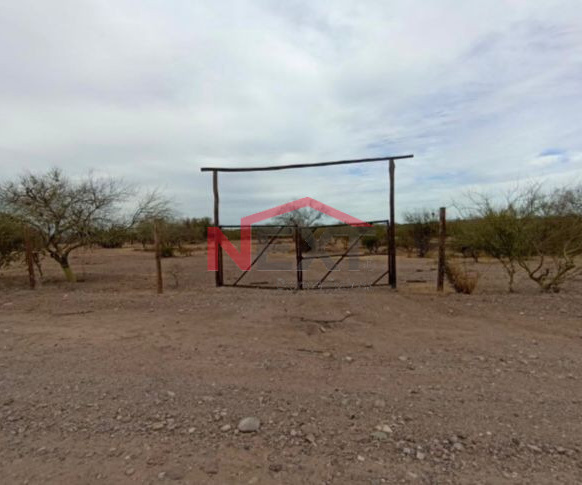 TERRENO CAMPESTRE EN VENTA EN REAL DEL ALAMITO