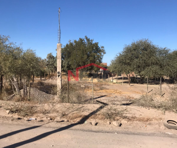 TERRENO EN VENTA EN SAN PEDRO EL SAUCITO