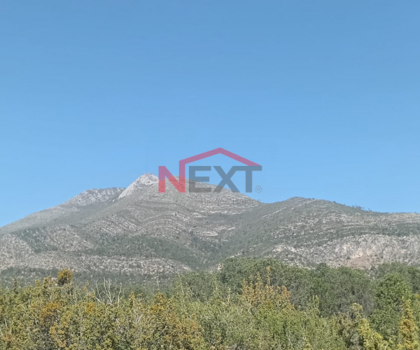 VENTA DE TERRENO EN FRACCIONAMIENTO PINO REAL SECTOR BOSQUES LOTE CAMPESTRE