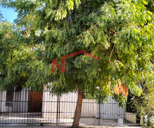 CASA EN RENTA EN COL. LAS QUINTAS