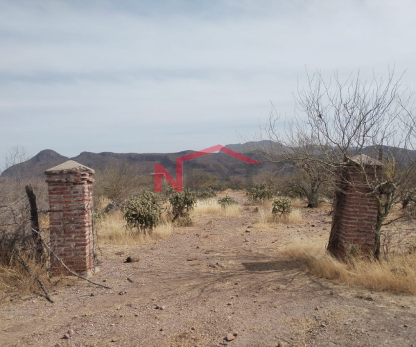 TERRENO EN VENTA UBICADO EN PREDIO LAS LAGUNAS, ZONA DE GRANJAS, CAJEME