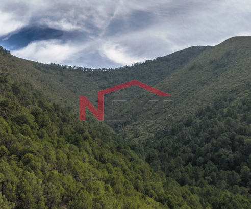 PRE-VENTA DE TERRENO EN EL DIAMANTE SIERRA DE ARTEAGA (LM)