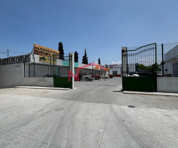 Se Renta Local 3 en Plaza San Carlos al Poniente