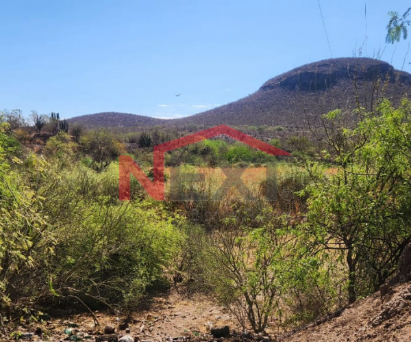 TERRENO EN VENTA UBICADO EN ALTURA DE KM 20, HORNOS SON.