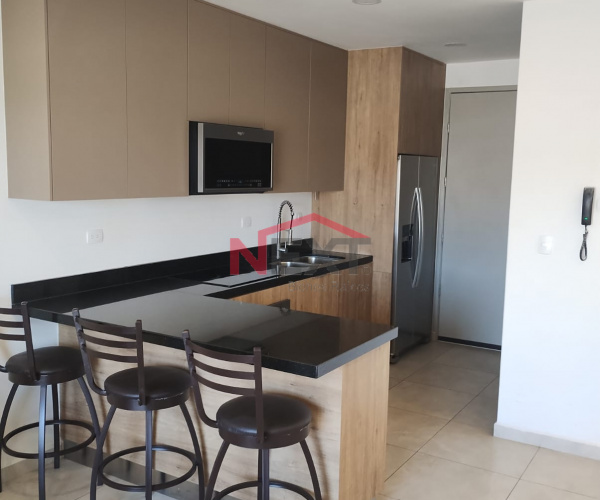 DEPARTAMENTO EN RENTA EN ALATORRE 1122