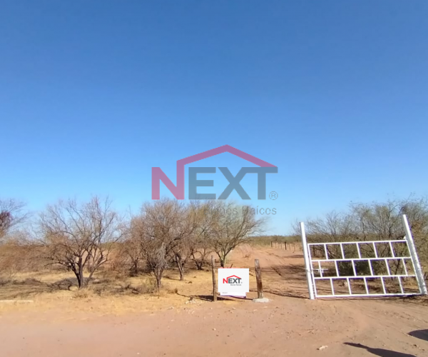 TERRENO EN VENTA EN EL TOJUNGO