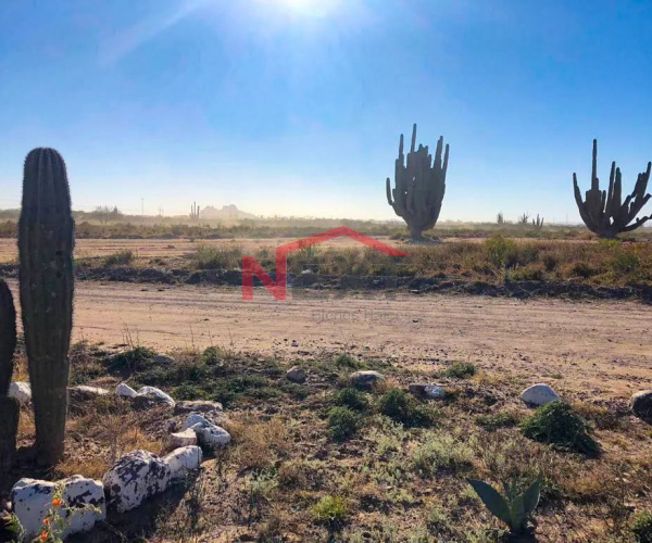 TERRENO EN VENTA EN BAHIA DE KINO NUEVO