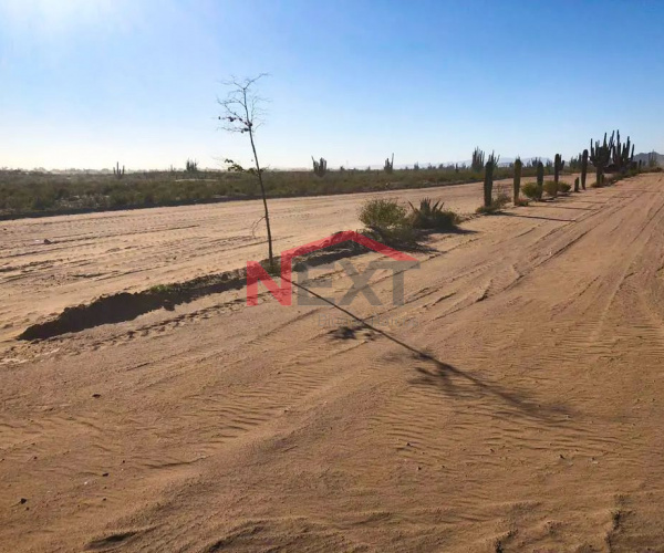 TERRENO EN VENTA EN BAHIA DE KINO NUEVO