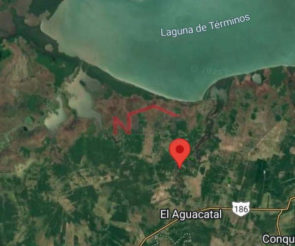 TERRENO AGRICOLA EN CAMPECHE