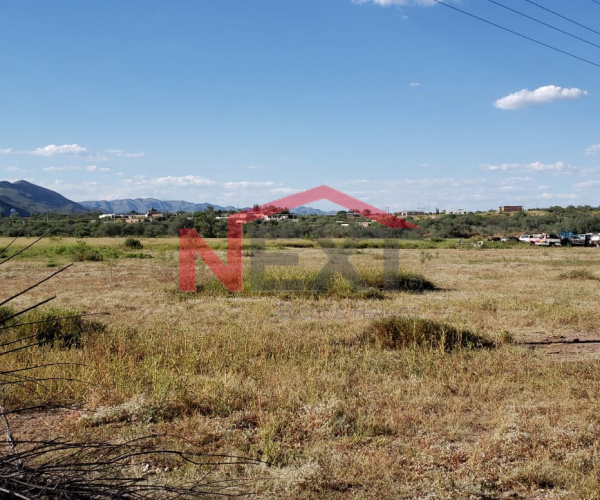 TERREN AGRICOLA EN VENTA EN MAGDALENA DE KINO, SONORA