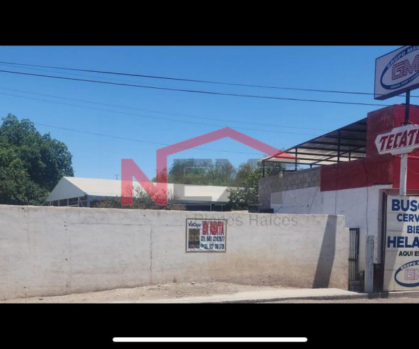 TERRENO EN RENTA EN MAGDALENA DE KINO SONORA