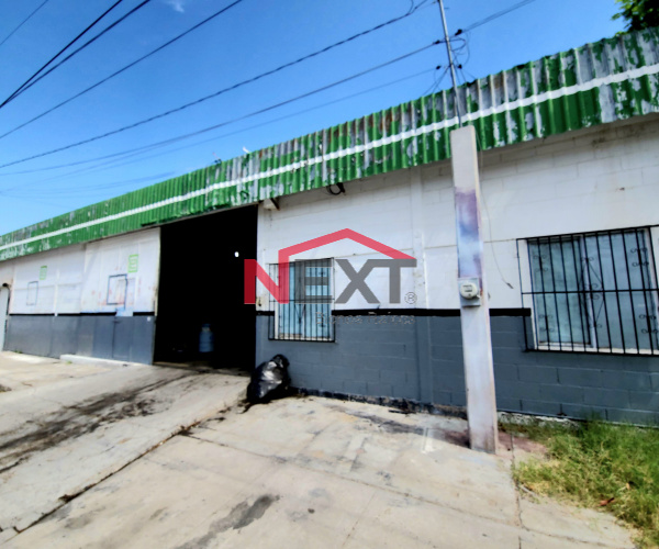 BODEGA EN RENTA EN COL. OLIVARES