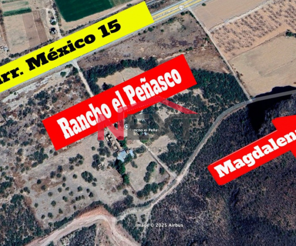 RANCHO EL PEÑASCO EN VENTA EN MAGDALENA SONORA