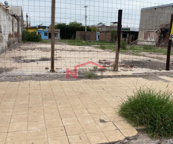 TERRENO EN RENTA UBICADO EN COL. HIDALGO