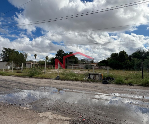 TERRENOS EN VENTA EN PALO VERDE