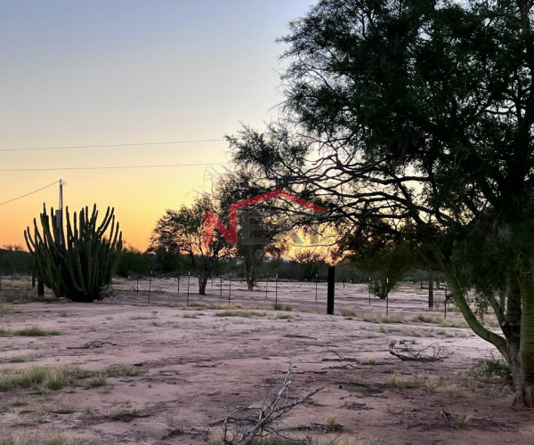 TERRENO EN VENTA EN CAMPESTRE LOS PINOS