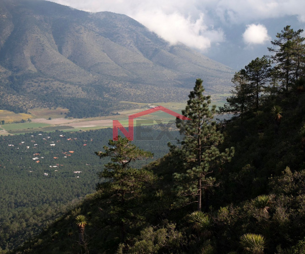 PRE-VENTA DE TERRENO EN EL DIAMANTE SIERRA DE ARTEAGA (LP) PRE-VENTA DE TERRENO EN EL DIAMANTE SIERRA DE ARTEAGA (LP)