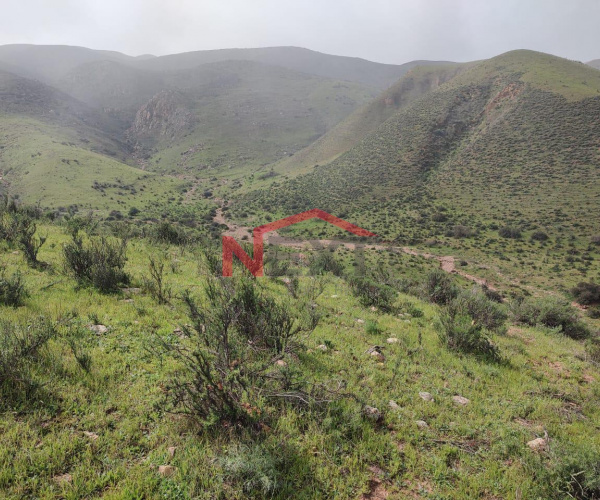 TERRENO EN VENTA 26 HECTAREAS EN VALLE LAS PALMAS DELEGACION LA PRESA TIJUANA BAJA CALIFORNIA