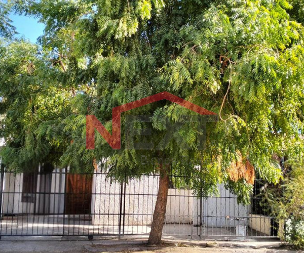 CASA EN RENTA EN COL. LAS QUINTAS