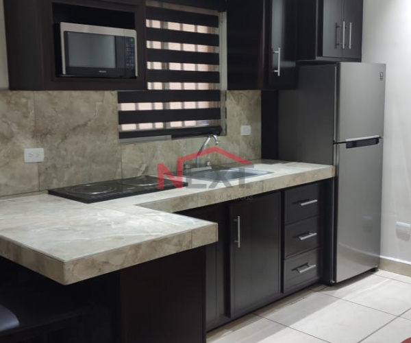 DEPARTAMENTO EN RENTA COL. LEY 57