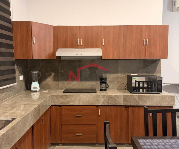 Departamento en renta  tipo loft amueblado|Al norte de Saltillo