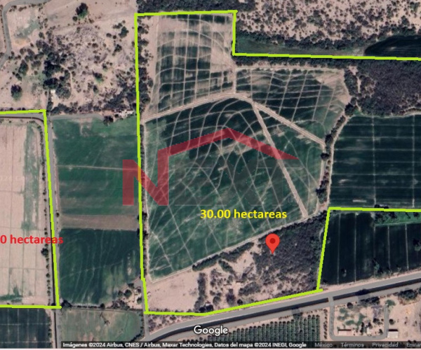 TERRENO AGRÍCOLA EN RENTA – COCORIT, SONORA