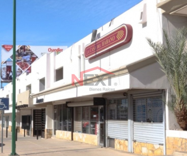 LOCALES EN VENTA EN COL. PITIC