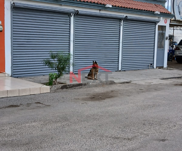 LOCAL EN RENTA FRENTE A BLVD. LOPEZ PORTILLO