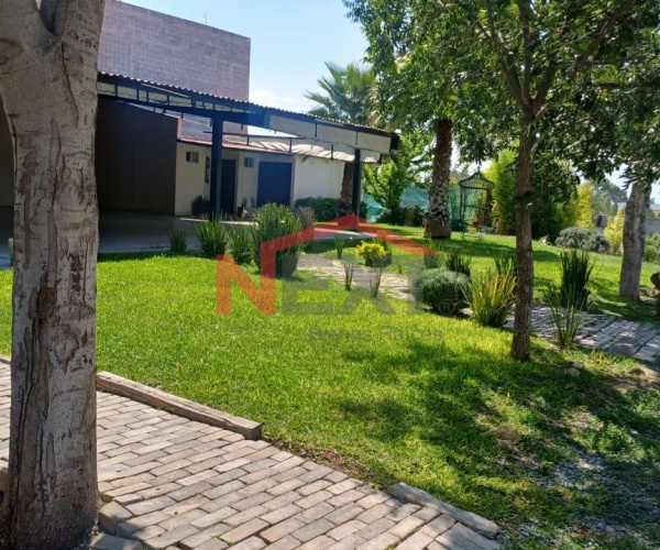 PALAPA EN RENTA EN LA AURORA