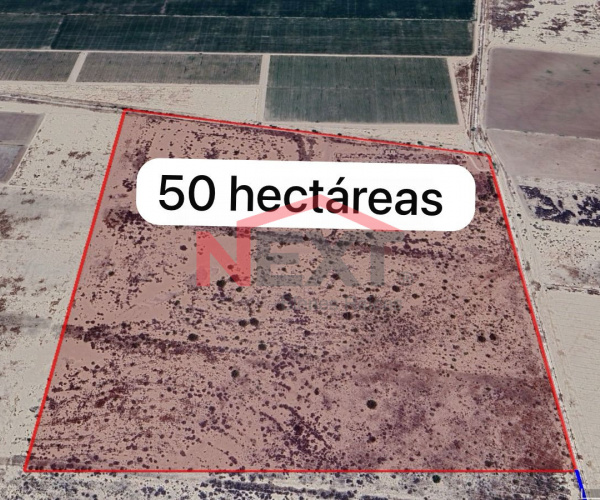 TERRENO EN VENTA EN POBLADO MIGUEL ALEMAN