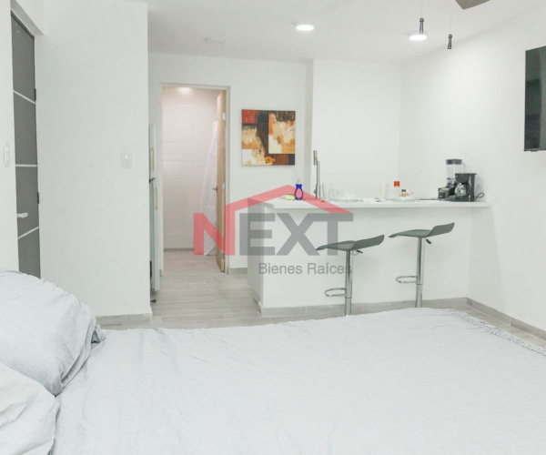 DEPARTAMENTO EN RENTA EN COL. PERIODISTA