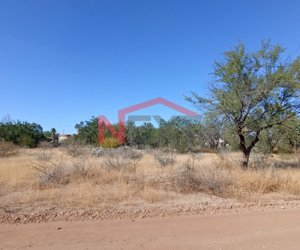 TERRENO CAMPESTRE EN VENTA EN REAL DEL ALAMITO