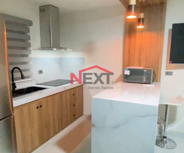 DEPARTAMENTO EN RENTA EN COL. LUIS ENCINAS