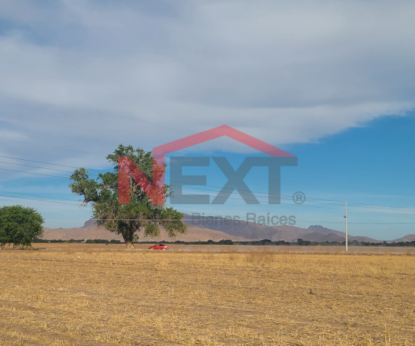 TERRENO EN VENTA- COL. BENITO JUAREZ