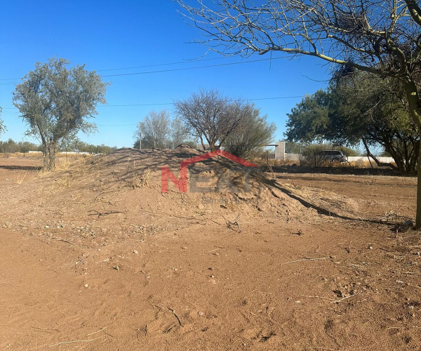 TERRENO EN VENTA EN REAL DEL ALAMITO