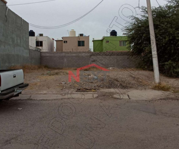 TERRENO EN VENTA EN COL. LOS TULIPANES