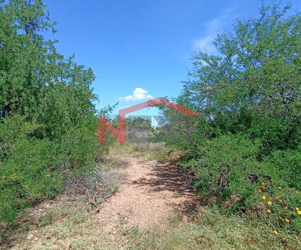 TERRENO EN VENTA REAL DEL ALAMITO