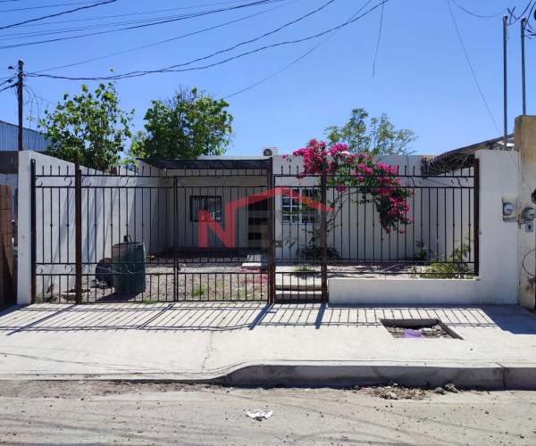 CASA EN RENTA COL. CUATRO OLIVOS